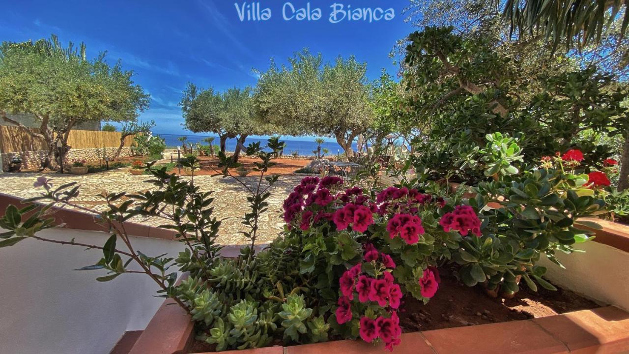 Villa Cala Bianca 카스텔라마레델골포 외부 사진